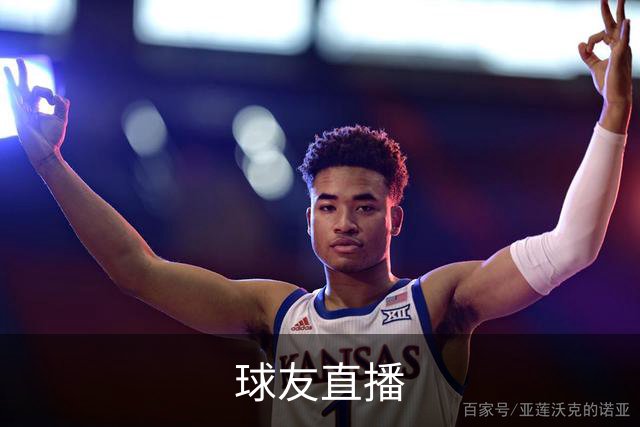 球友直播公司简介